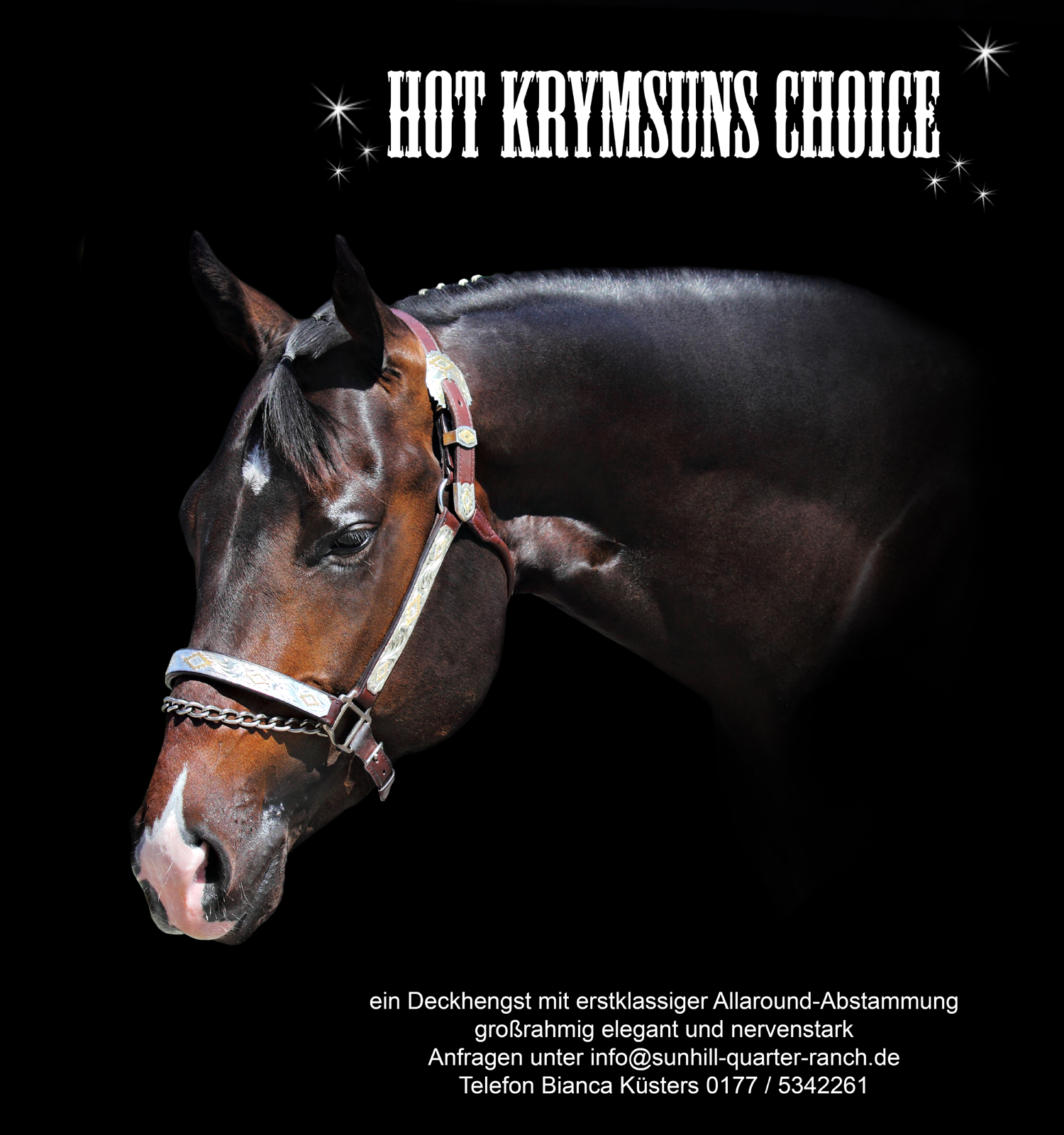 Choice Werbung