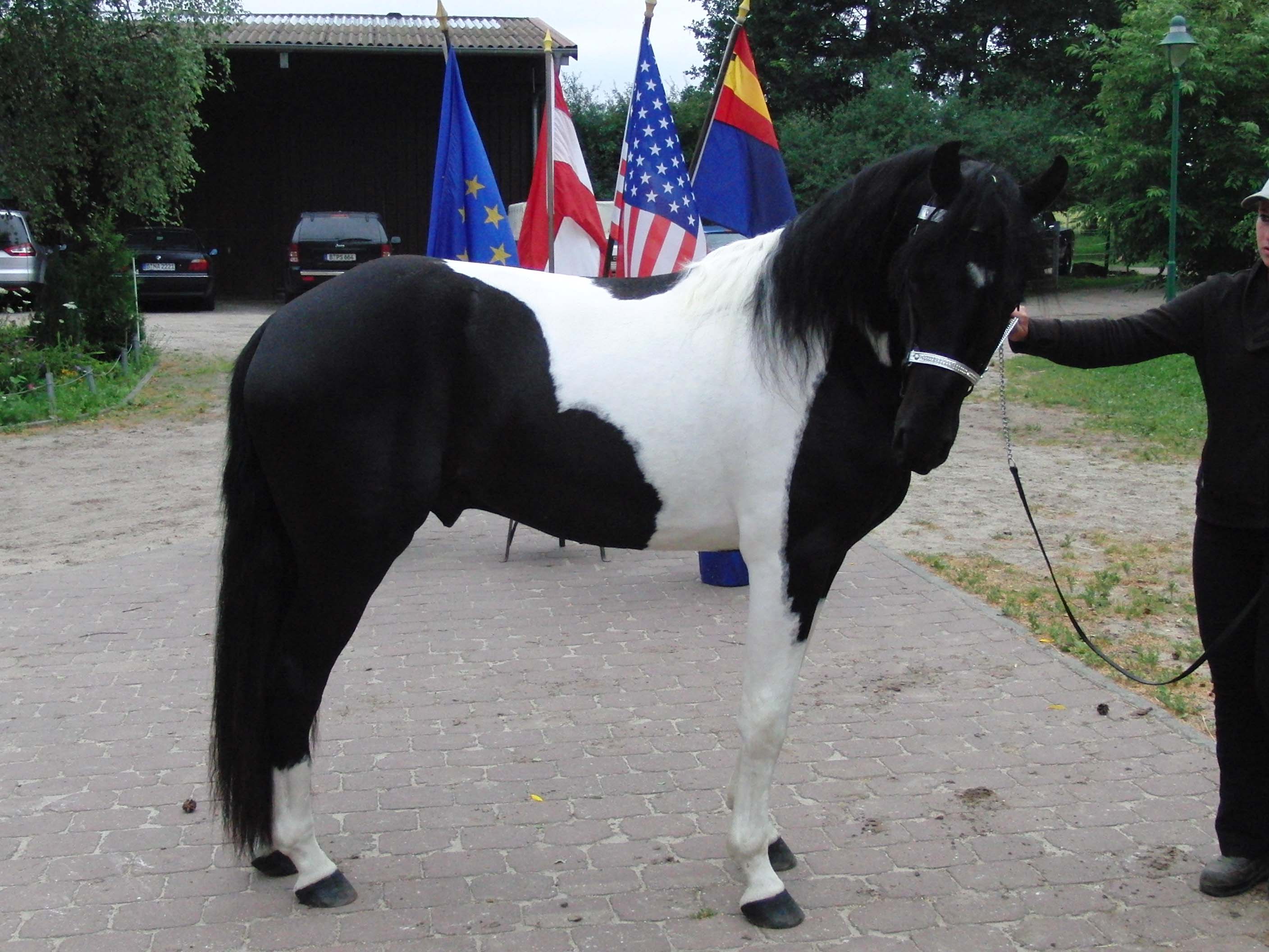 Hope_Turnier_2011_057