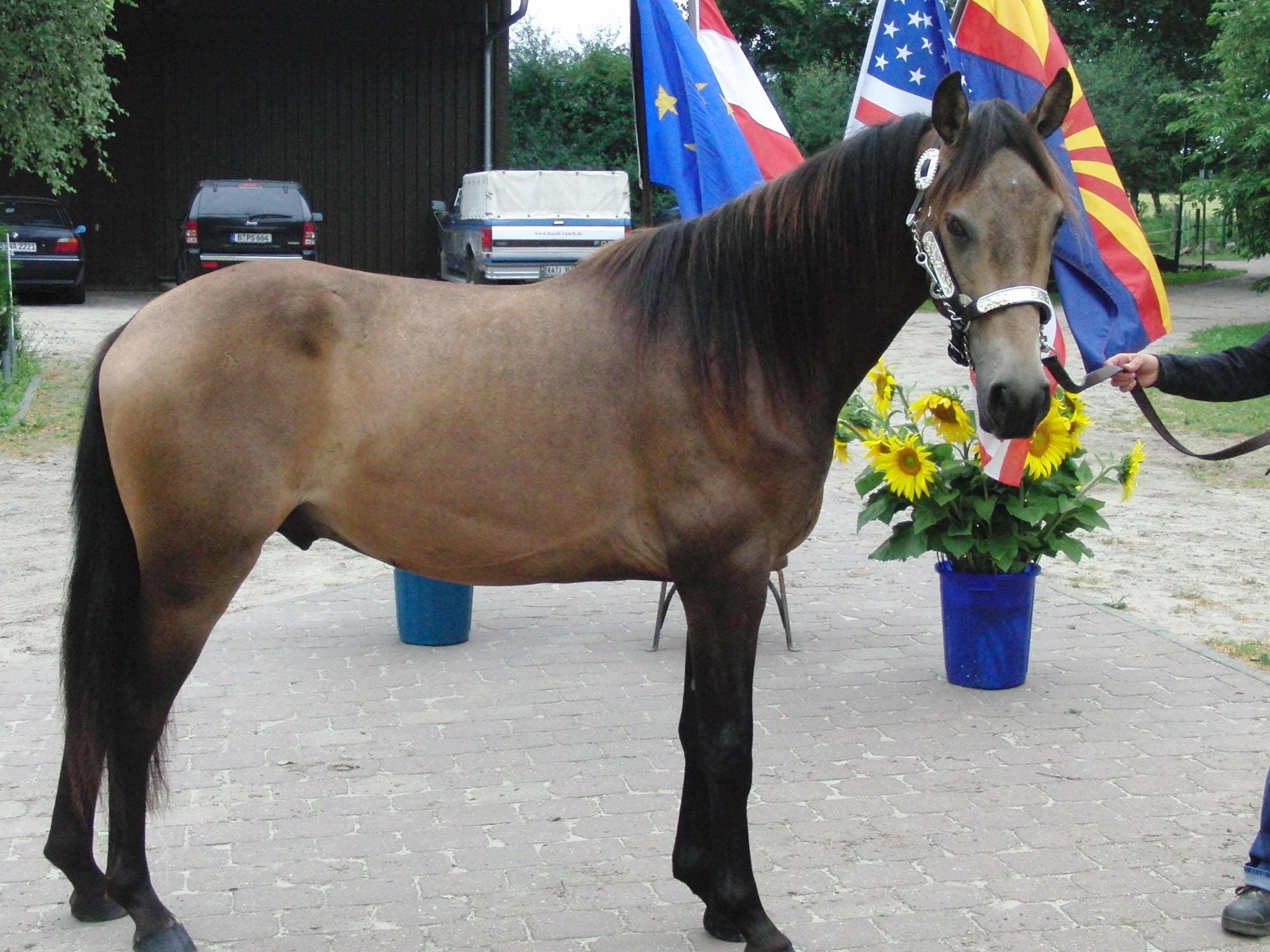 Jackson_Turnier_2011_044