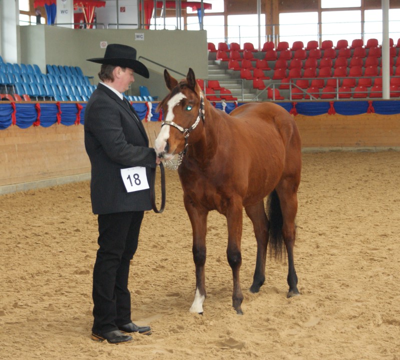 NEUSTADT DOSSE SPRINGSHOW 2009 046