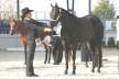 Aachen_2008_017[1]